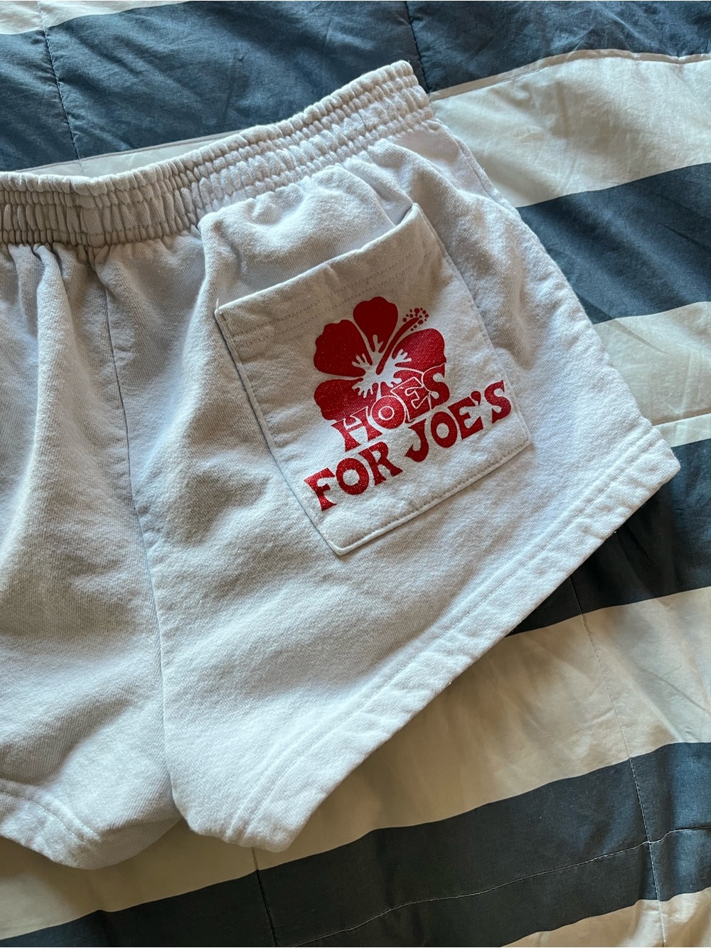 Novelty Trader Joe's Graphic Pocket Sweatshorts